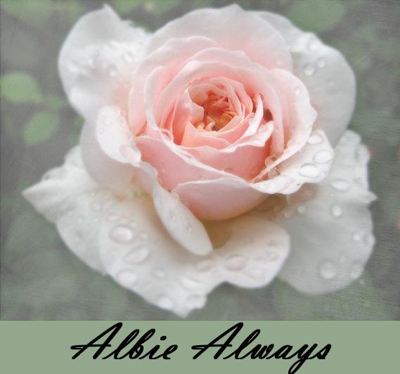 Albie Always - Albie Aware Breast Cancer Foundation